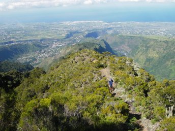 Randonnée sur l'île de la Réunion, crêtes du Dimitile, Entre-Deux © Alizés Montagnes