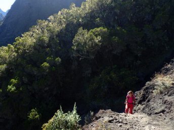 Traversée de l'île de la Réunion, paysage de brandes dans le Haut Mafate © Alizés Montagnes
